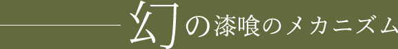 幻の漆喰のメカニズム